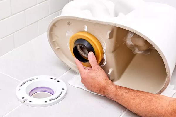 Toilet Seat Leaks Gasket